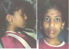 kalapa1.jpg (11352 bytes)