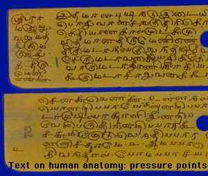 [Varmam: pressure points]